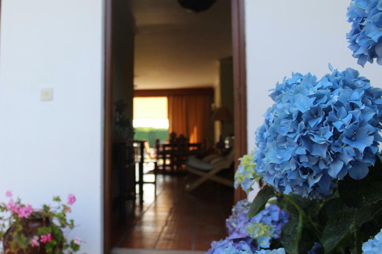 River-Side Villa Vila Nova de Cerveira Ngoại thất bức ảnh